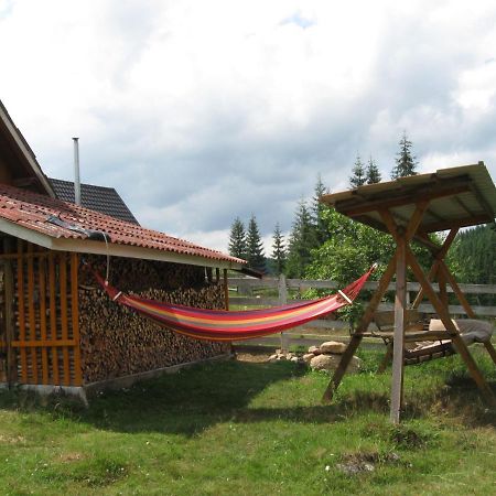 Podina Guest House Poiana Horea Exterior foto